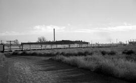 Great Northern Passenger Train at Pasco, Washington, undated