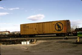 Great Northern Railway Refrigerator car 64384 at Laurel, Montana in 1974.