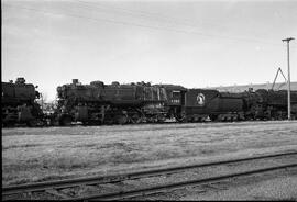 Great Northern Steam Locomotive 3393 at Saint Cloud, Minnesota in 1960.