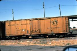 Great Northern Railway Refrigerator car 70633 at Pasco, Washington in 1976.