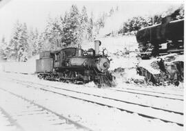 Great Northern Steam Locomotive 219 at Porthill, , 1947