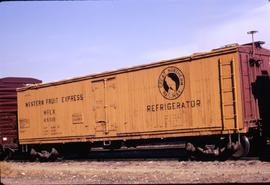 Great Northern Railway Refrigerator car 65328 at Wenatchee, Washington in 1970.