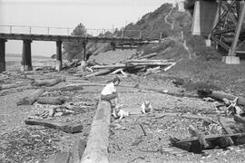 Great Northern Bridge, Bellingham, Washington, undated