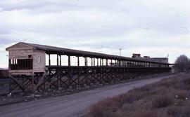 Burlington Northern icing platform at Pasco, Washington, in 1981.