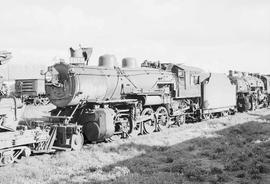 Northern Pacific steam locomotive 1679 at Auburn, Washington, in 1953.