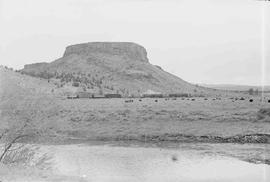 City of Prineville Railway  Diesel Locomotives Numbers 102 and 101 at Prineville, Oregon, circa 1...