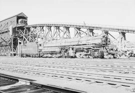 Northern Pacific steam locomotive 5003 at Livingston, Montana, in 1953.