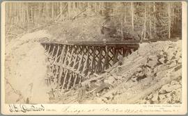 Northern Pacific bridge at Stampede, Washington Territory, in 1887.