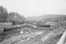 Burlington Northern log yard at Lake Kapowsin, Washington, in 1974.