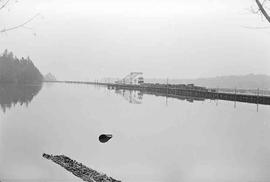 Log Train at Weyerhaeuser Company Pier at South Bay, Washington in April 1976.