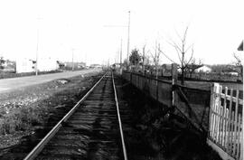 Seattle Municipal Railway Track, White Center, Washington, 1920