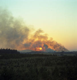 Chicago, Milwaukee, St. Paul & Pacific Railroad Company forest fire at Saint Maries, Idaho, i...