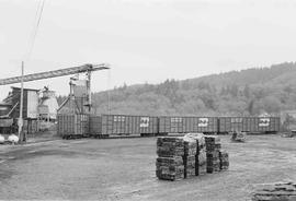 Burlington Northern chip cars at Hoquiam, Washington, in October 1974.