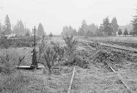 Burlington Northern tracks at Rainier, Washington, in  1975.