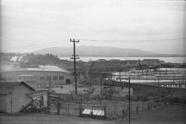 Great Northern Track, South Bellingham, Washington, undated