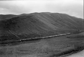 Amtrak diesel locomotives 244 and 234 with train number 8 in Yakima River Canyon, Washington on N...