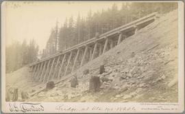 Northern Pacific bridge at Stampede, Washington Territory, in 1887.