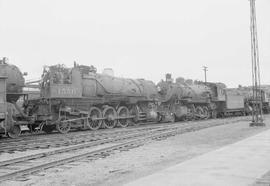 Northern Pacific steam locomotive 1556 at Brainerd, Minnesota, in 1954.