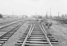 Burlington Northern tracks at Rainier, Washington, in  1975.