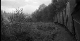 Pacific Coast Railroad freight train near Taylor, Washington in 1943.