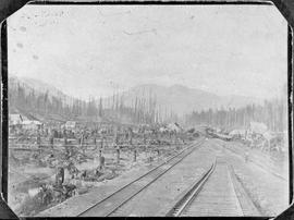 Northern Pacific yard at Lester, Washington, circa 1900.