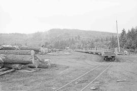 Weyerhaeuser Company Yard at Pe Ell, Washington in June 1975.