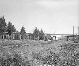 Weyerhaeuser Company Diesel Locomotive Number 684 at Centralia, Washington, circa 1975.