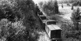 Pacific Coast Railroad freight train at Lake Wilderness, Washington in 1943.