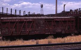 Northern Pacific stock car 83149 at Broomfield, Colorado, in 1976.
