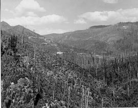 Northern Pacific  mountain right-of-way  at Stampede, Washington, circa 1925.