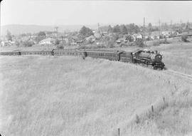 Northern Pacific directors' special at Elma, Washington, circa 1948.