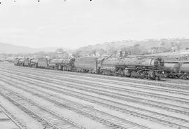 Northern Pacific steam locomotive 5100 at Livingston, Montana, in 1955.