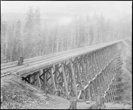 Northern Pacific bridge at Stampede Pass, Washington Territory, circa 1887.