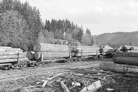 Weyerhaeuser Company Loaded Log Cars at Pe Ell, Washington in May 1975.