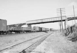 Northern Pacific trains meet near Chehalis, Washington, in 1954.