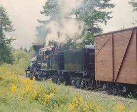 Mount Rainier Scenic Railroad Steam Locomotive Number 10 at Mineral, Washington in May, 1981.