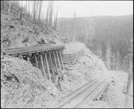 Northern Pacific switchback at Stampede Pass, Washington Territory, circa 1887.