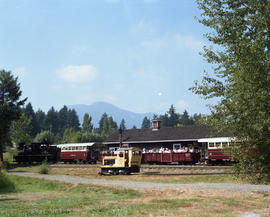 British Columbia Forest Museum museum at Duncan, British Columbia in August 1990.