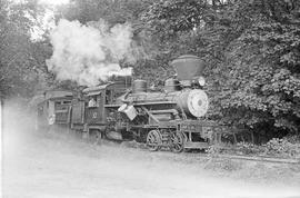 Klamath & Hoppow Valley Railroad Steam Locomotive Number 10 at Klamath, California in 1973.