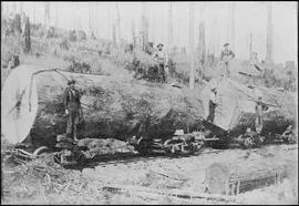 Walville Lumber Company Log Flat Cars at Walville, Washington, circa 1938.