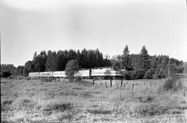 Amtrak diesel locomotive 216 at Winlock, Washington in August 1976.