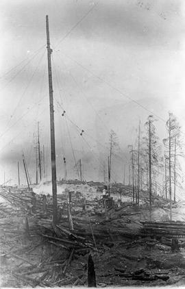 A logging spur pole and steam donkeys, circa 1900.