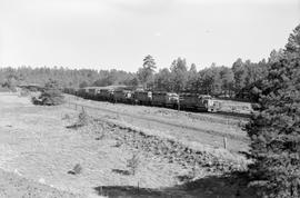 Atchison, Topeka & Santa Fe Railway diesel locomotive 3436 at Flagstaff, Arizona on June 18, ...