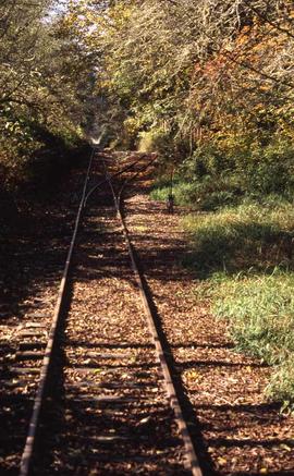 Lake Whatcom Railway end of track near Park, Washington, in 2008.