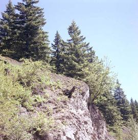 Northern Pacific right of way at Weston, Washington, in 1979.