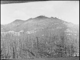 Northern Pacific right of way on Stampede Pass, Washington, circa 1910.