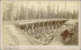 Northern Pacific bridge number 2 at Stampede Pass, Washington Territory, 1887.