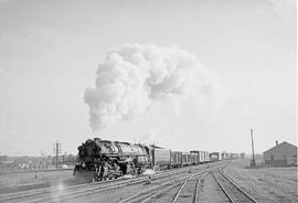 Northern Pacific steam locomotive 5136 at Laurel, Montana, in 1949.