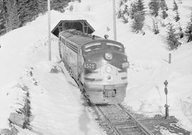 Northern Pacific passenger train number 5 at New Stampede, Washington, in 1949.