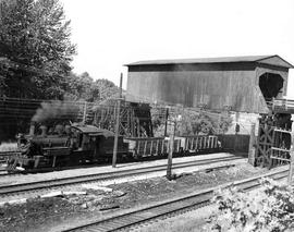 Pacific Coast Railroad freight train at Allentown, Washington in 1951.